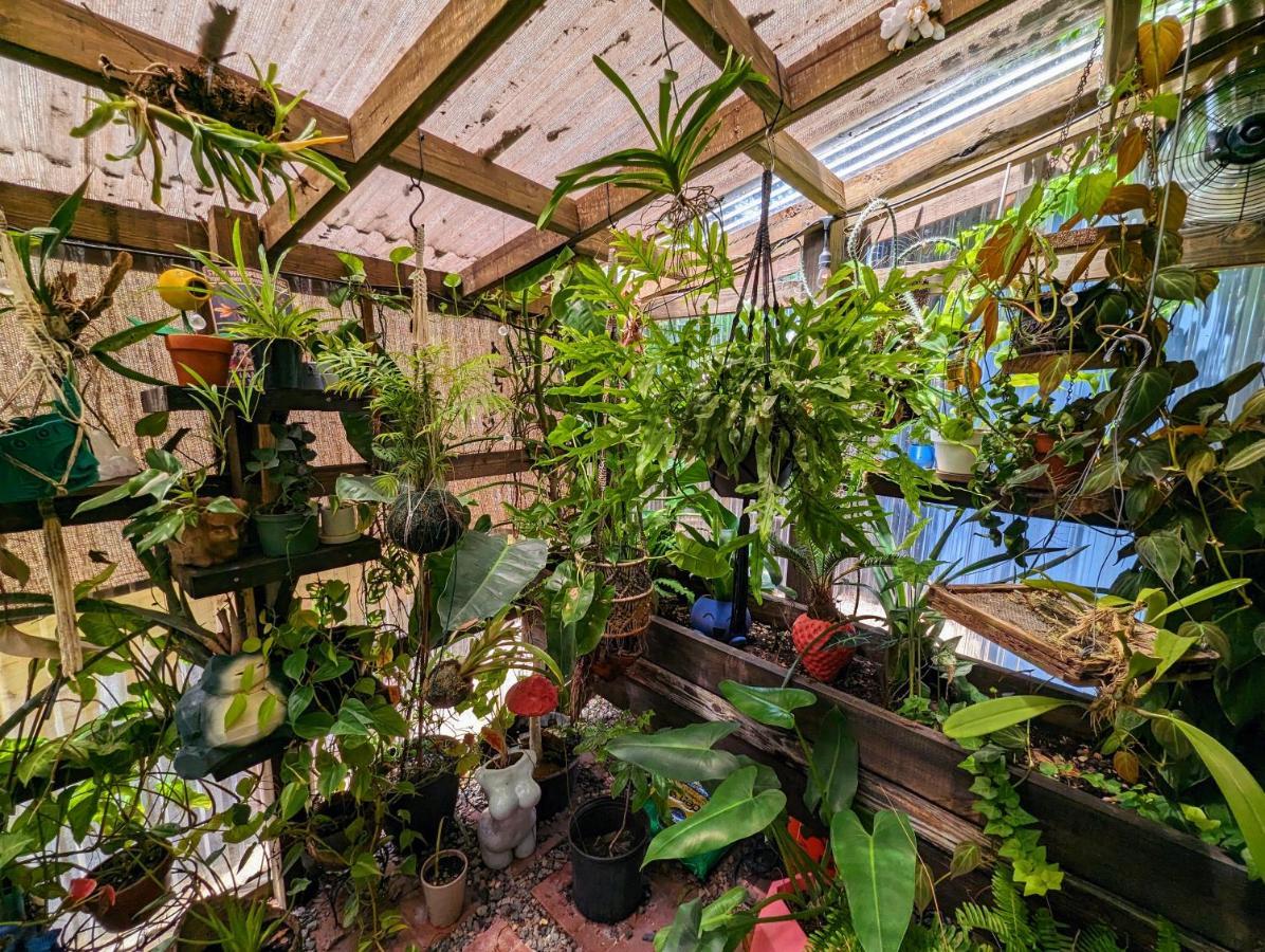 Cozy Af Tiny-House Oasis Villa Tampa Buitenkant foto